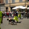 86 Raduno Piacenza