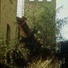Dettagli