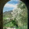 Primavera