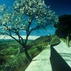 Primavera 2