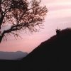 Primavera 3